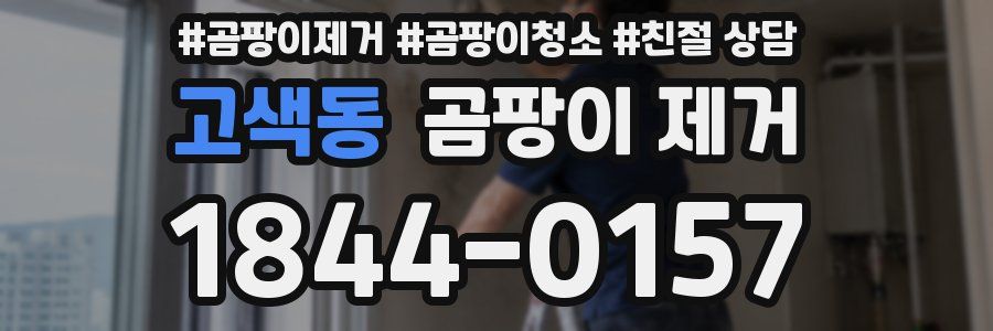 고색동 곰팡이 제거