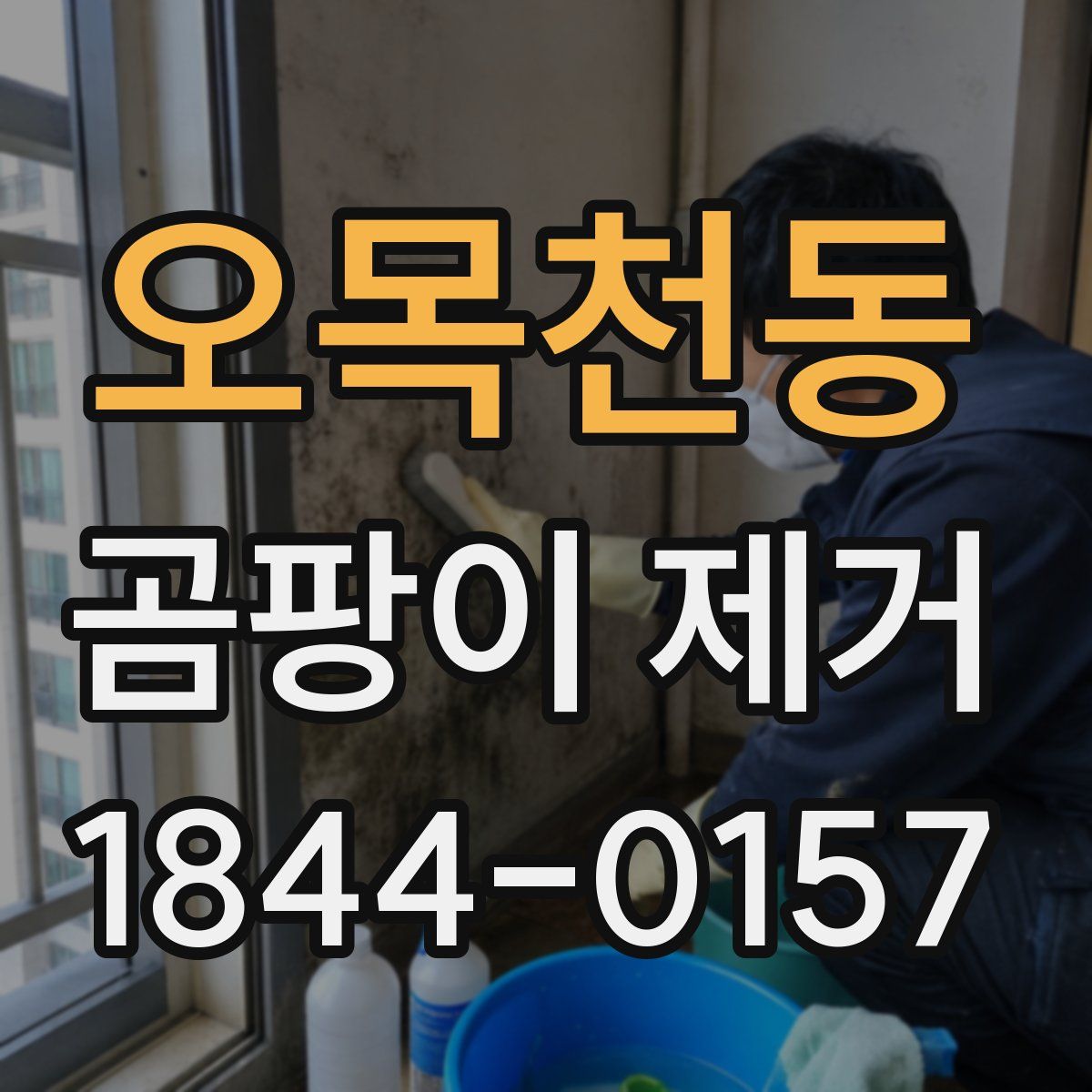 오목천동 곰팡이 제거