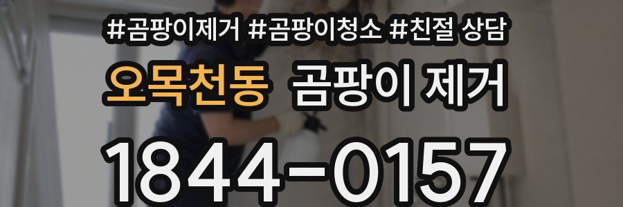 오목천동 곰팡이 제거