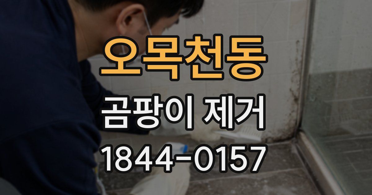 오목천동 곰팡이 제거