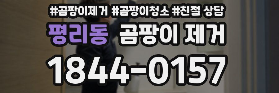 평리동 곰팡이 제거