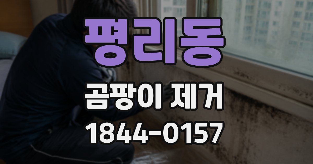 평리동 곰팡이 제거