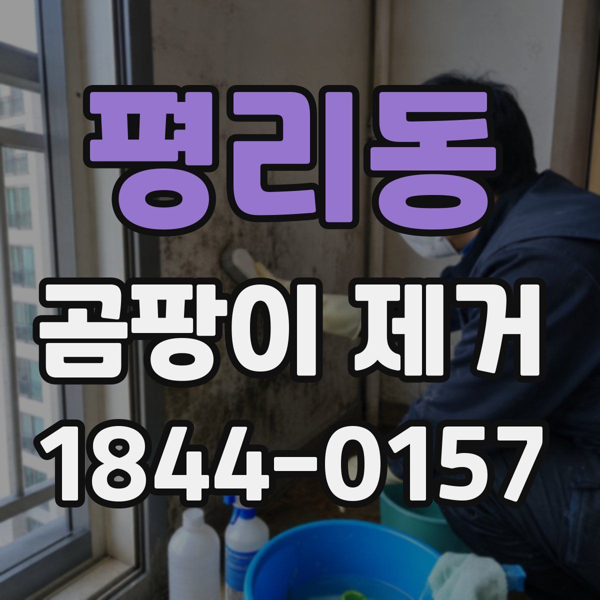 평리동 곰팡이 제거