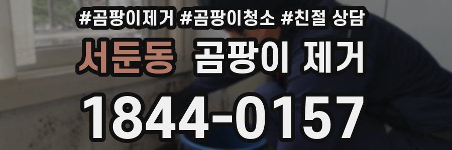 서둔동 곰팡이 제거
