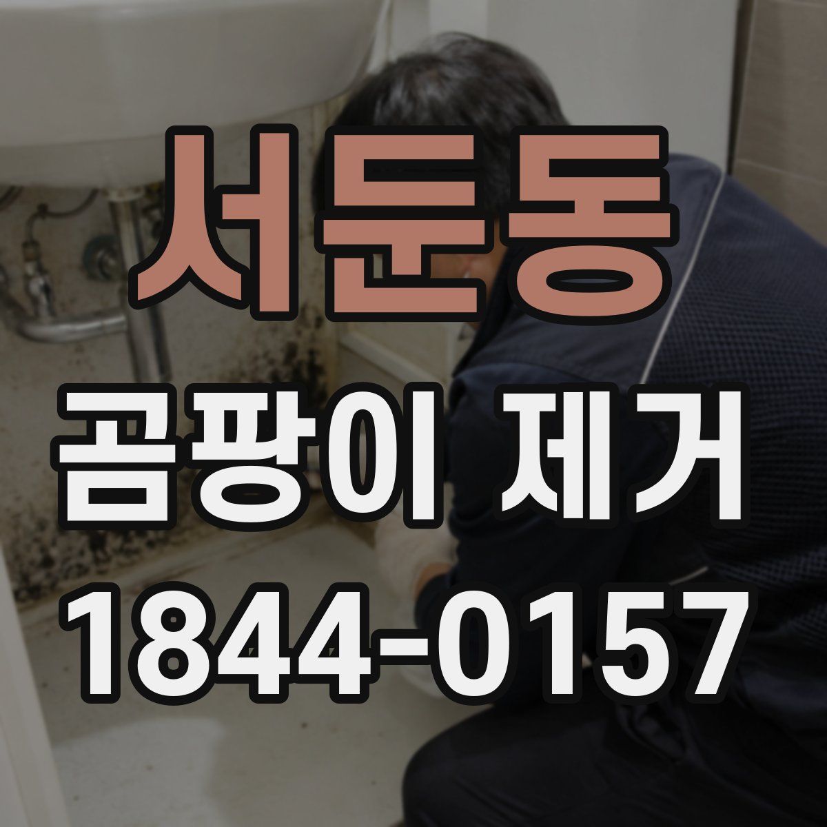 서둔동 곰팡이 제거