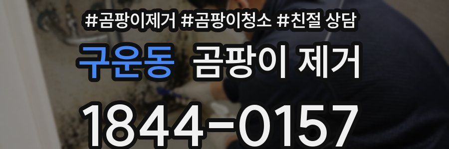 구운동 곰팡이 제거