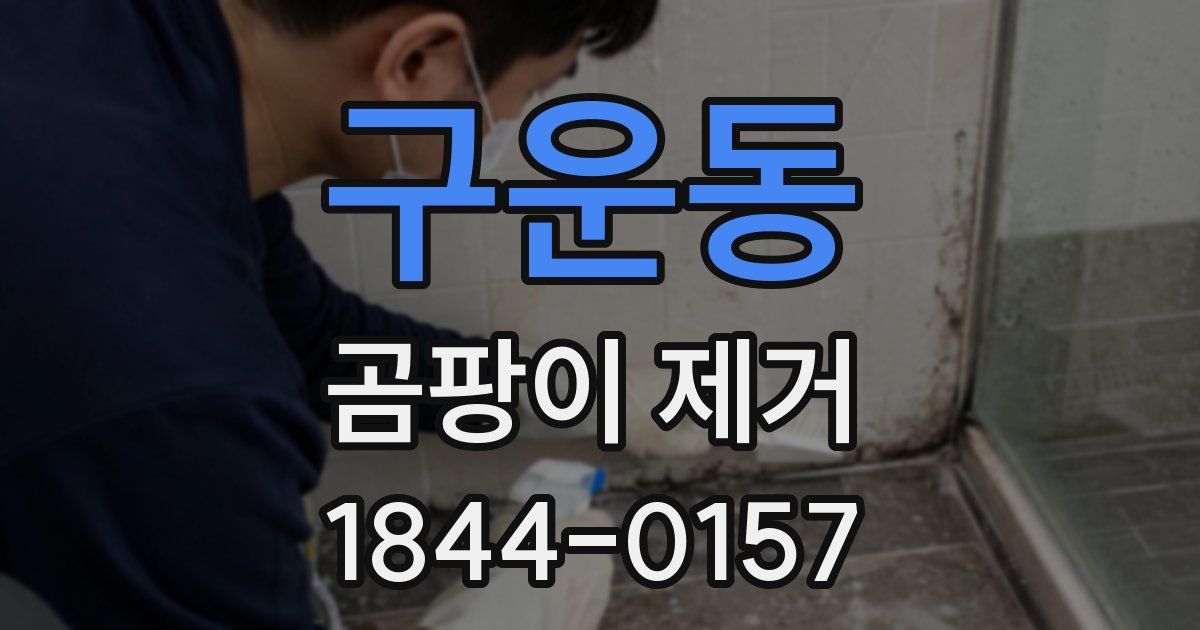 구운동 곰팡이 제거