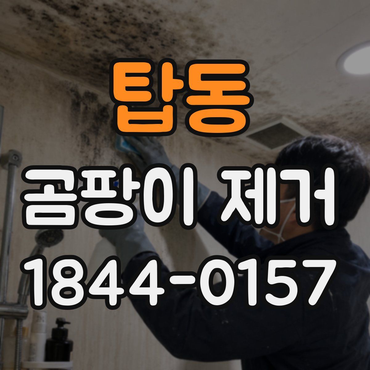 탑동 곰팡이 제거