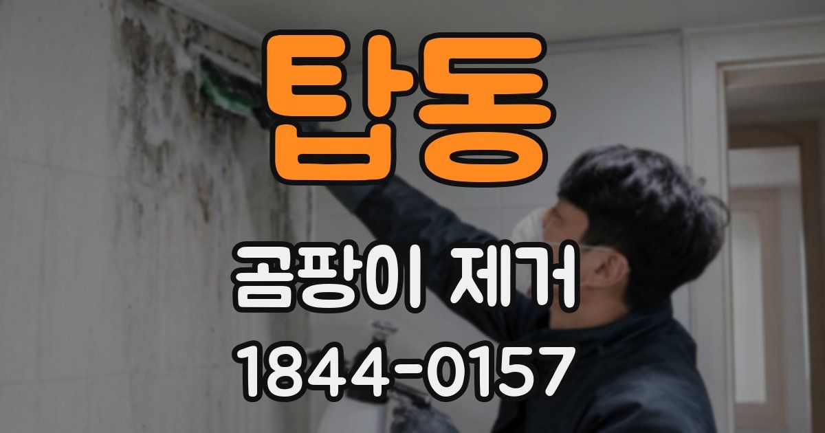 탑동 곰팡이 제거