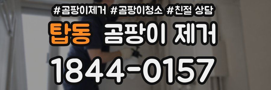 탑동 곰팡이 제거