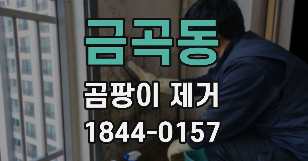금곡동 곰팡이 제거