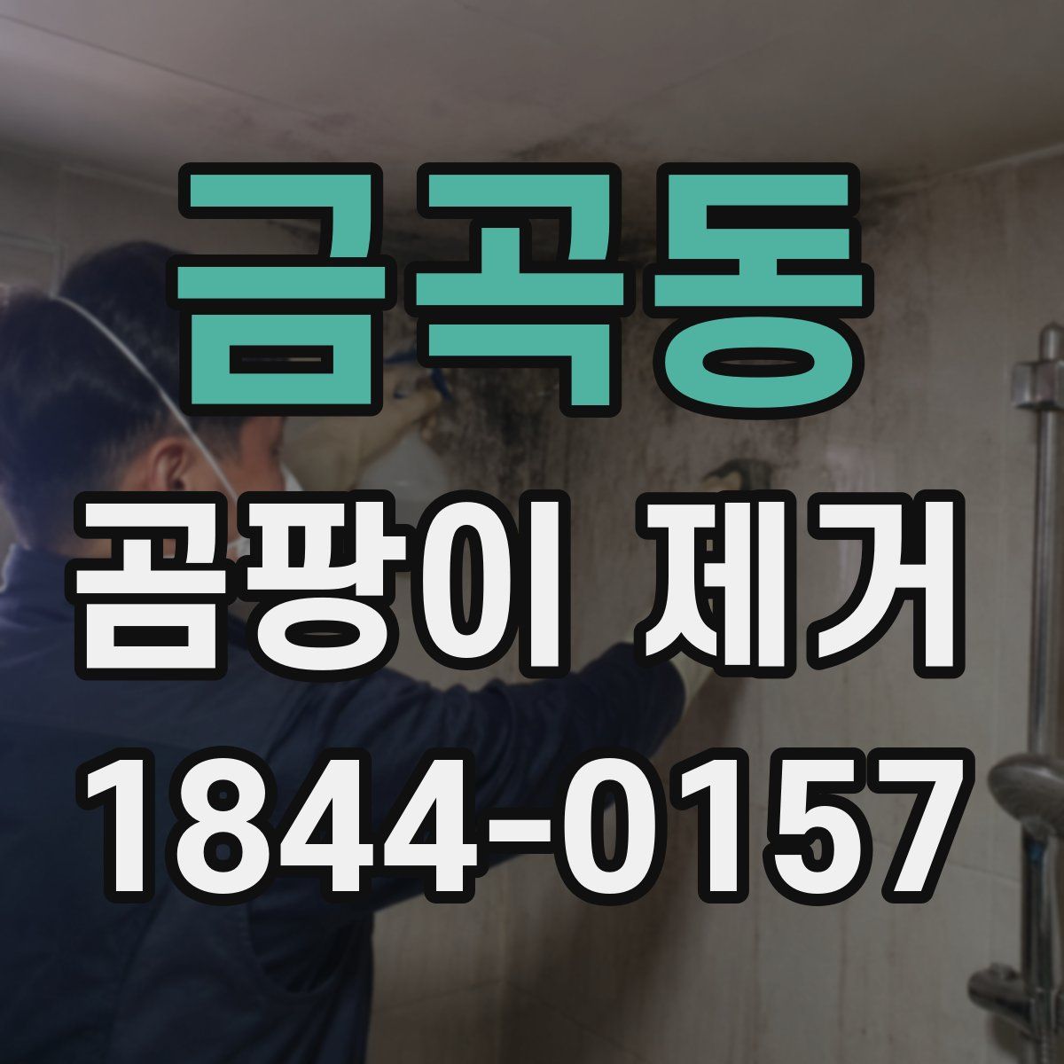 금곡동 곰팡이 제거