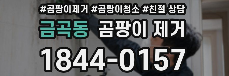 금곡동 곰팡이 제거