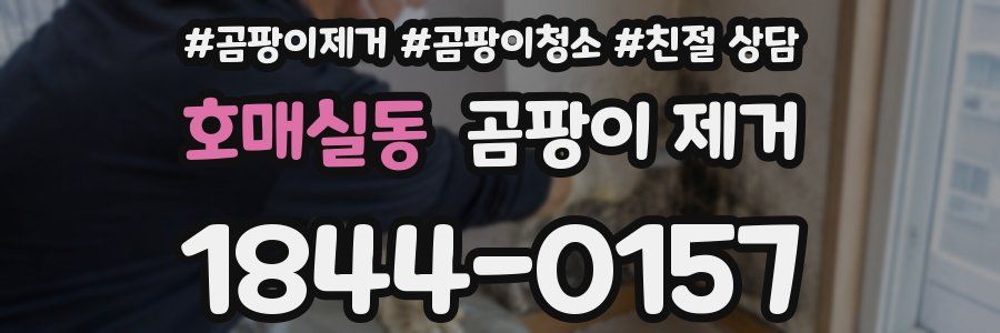 호매실동 곰팡이 제거