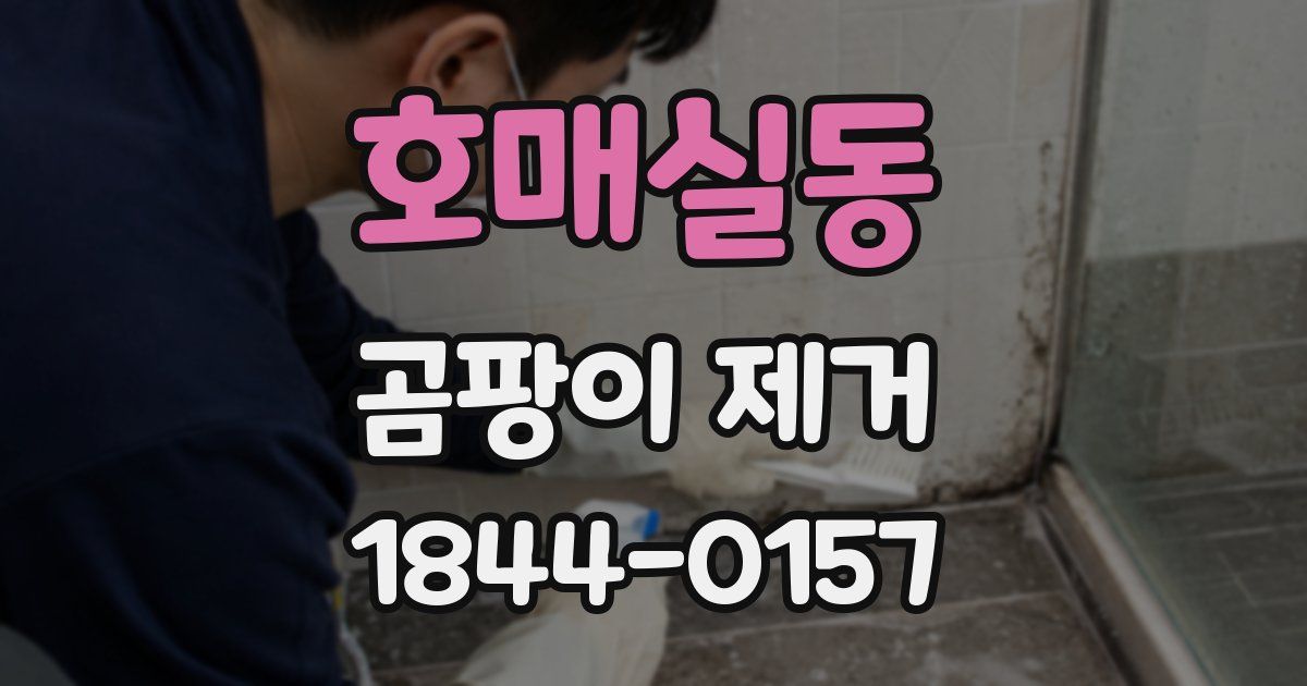 호매실동 곰팡이 제거