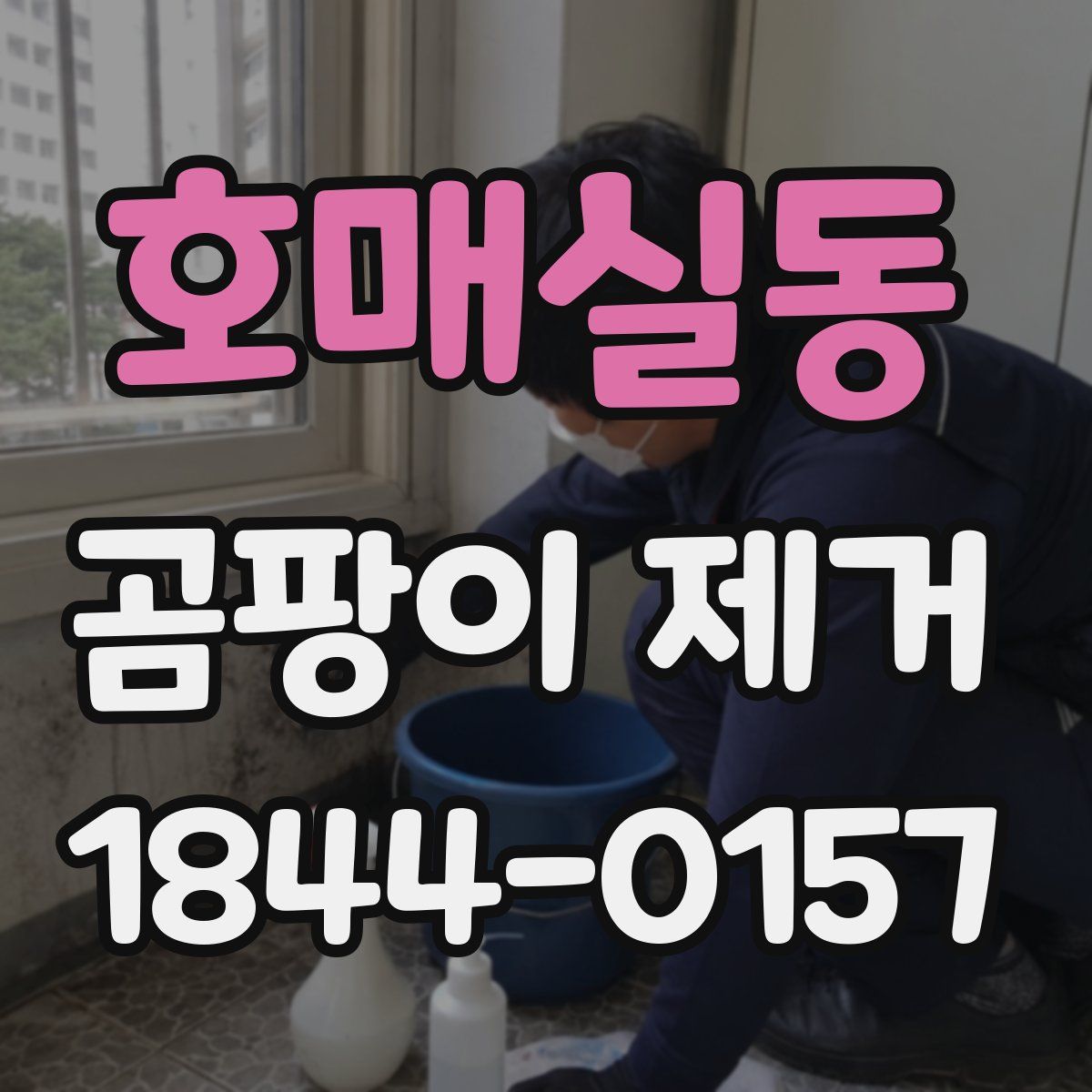 호매실동 곰팡이 제거