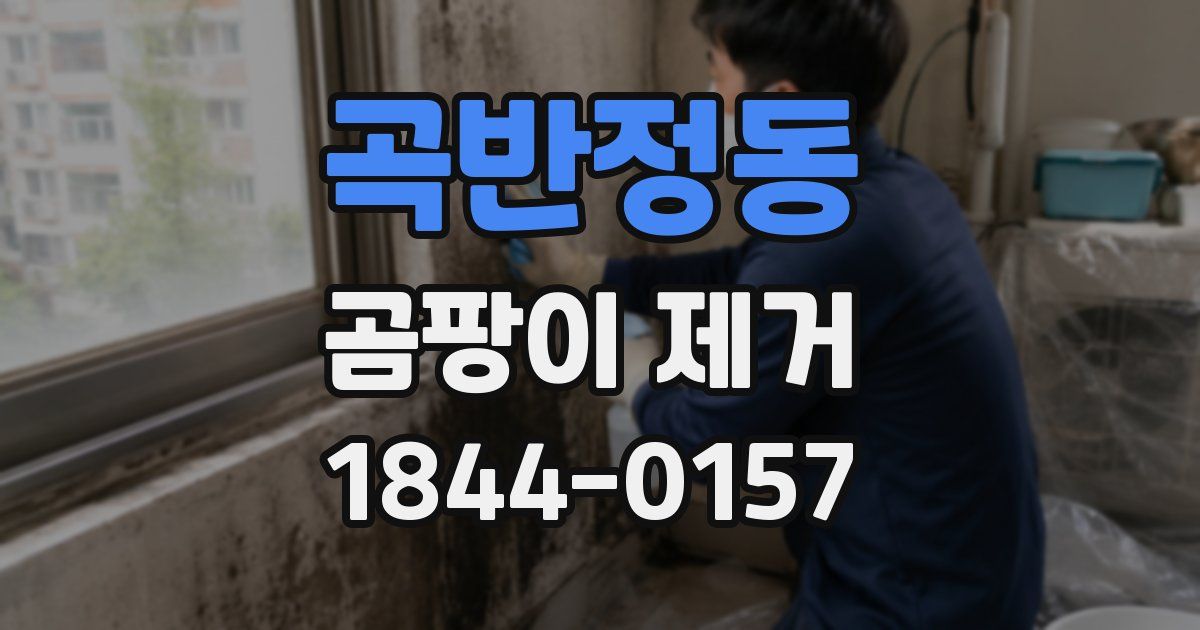 곡반정동 곰팡이 제거