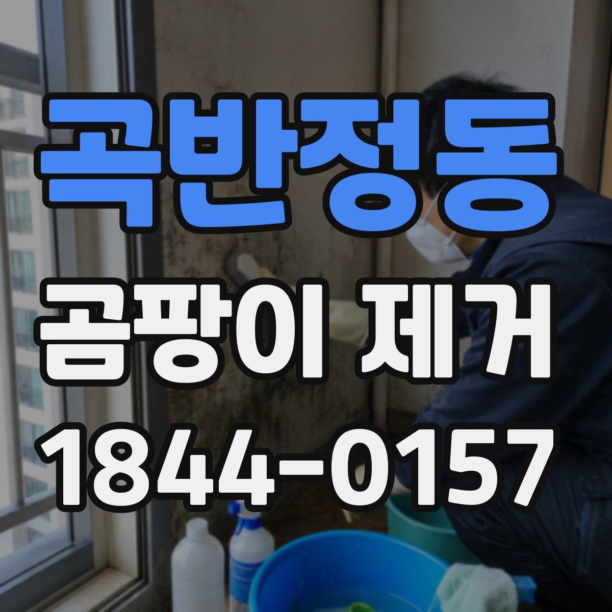 곡반정동 곰팡이 제거