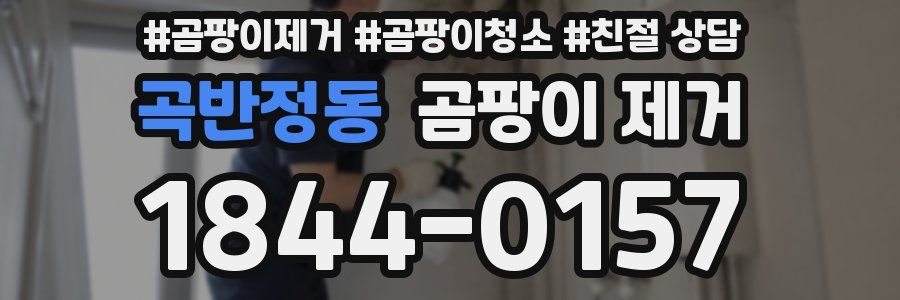 곡반정동 곰팡이 제거