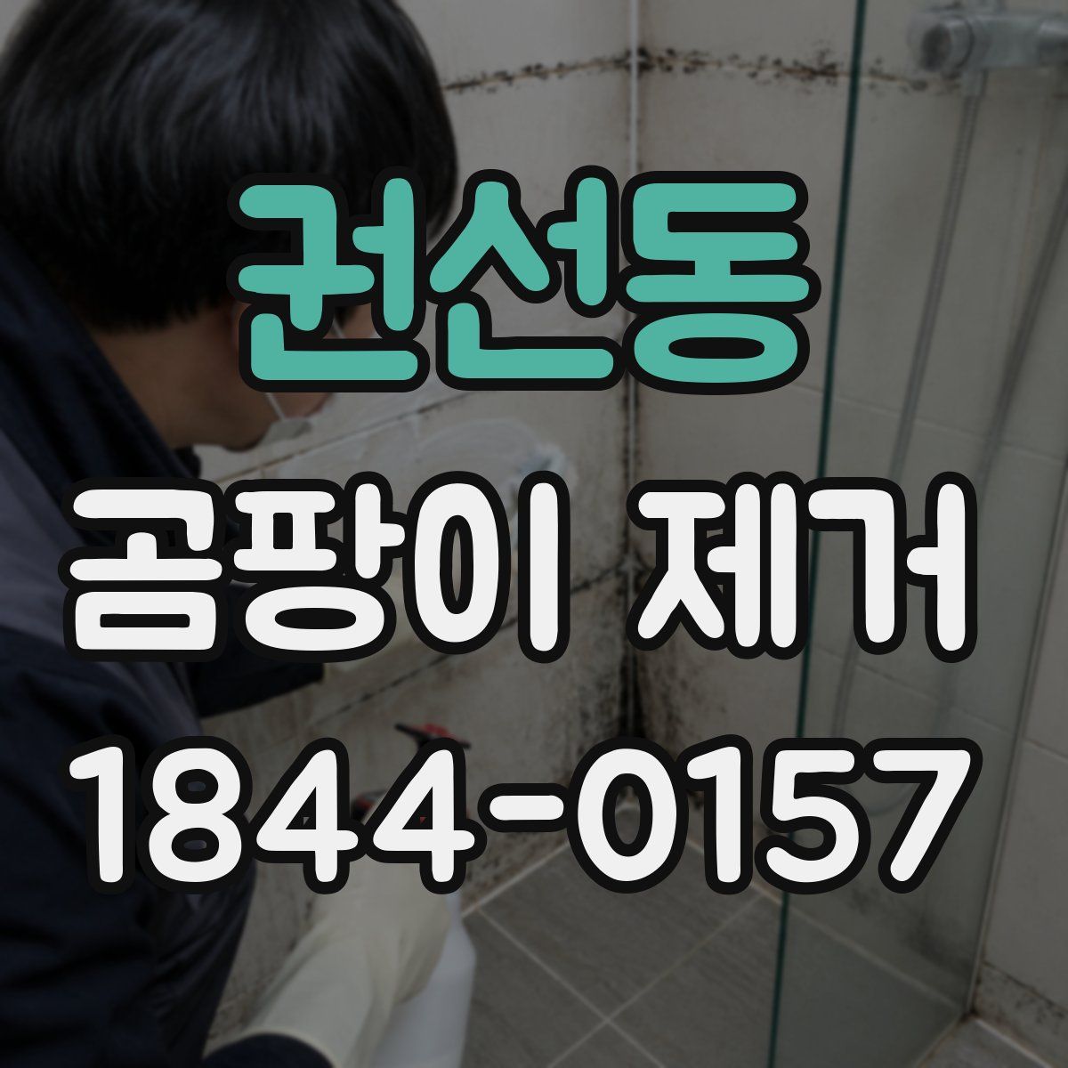 권선동 곰팡이 제거