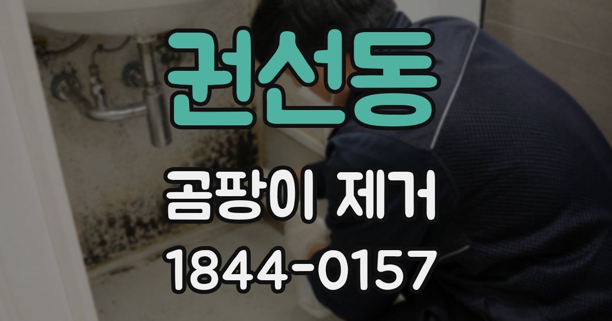 권선동 곰팡이 제거