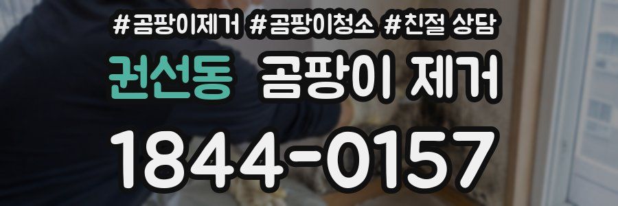 권선동 곰팡이 제거