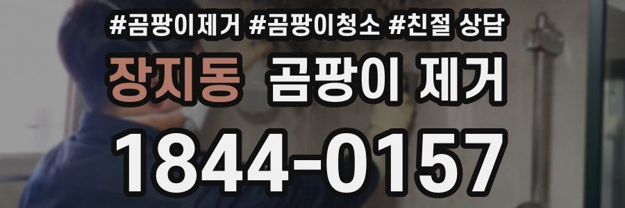 장지동 곰팡이 제거
