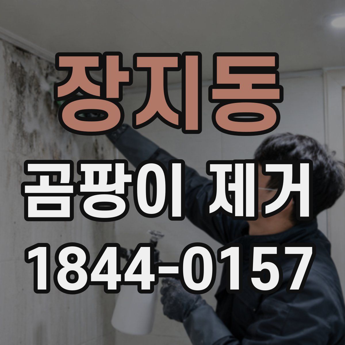 장지동 곰팡이 제거