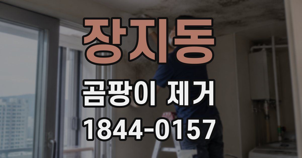 장지동 곰팡이 제거