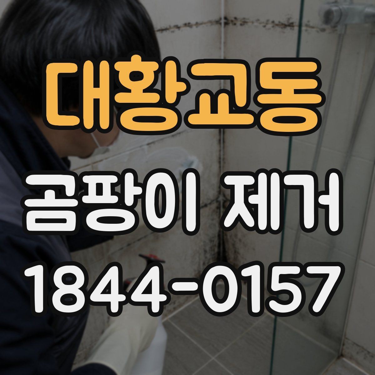 대황교동 곰팡이 제거 비용 산정에 영향을 주는 항목