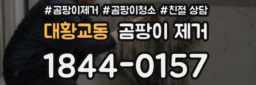 대황교동 곰팡이 제거
