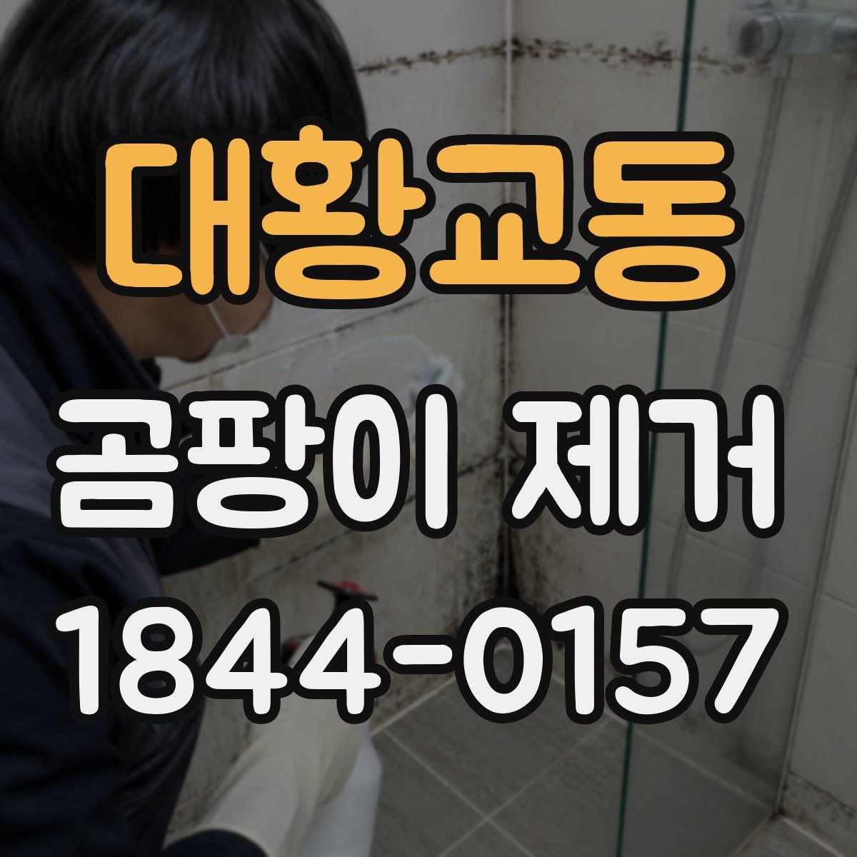 대황교동 곰팡이 제거
