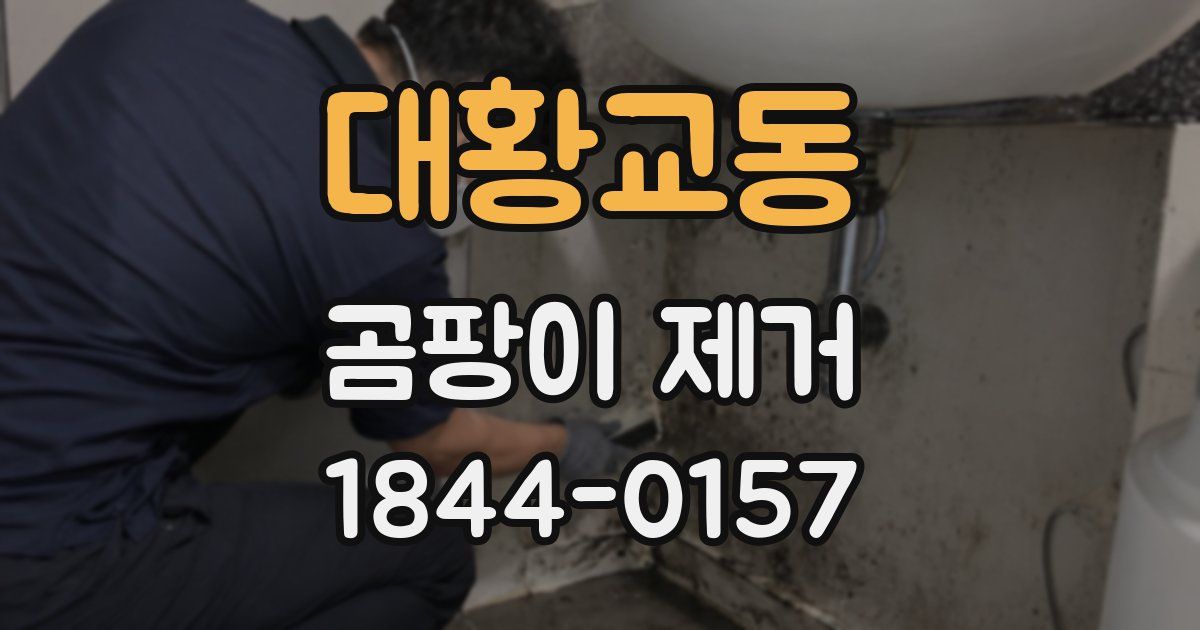 대황교동 곰팡이 제거