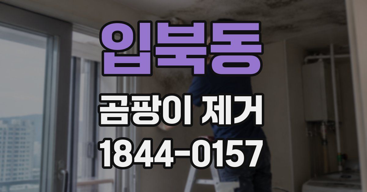 입북동 곰팡이 제거