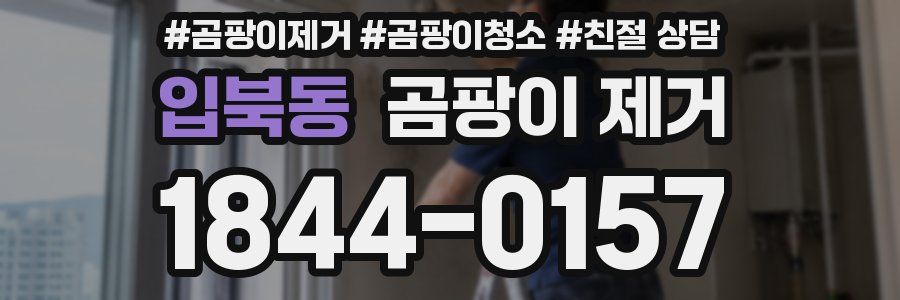 입북동 곰팡이 제거