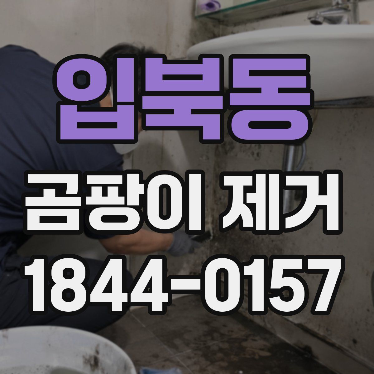 입북동 곰팡이 제거