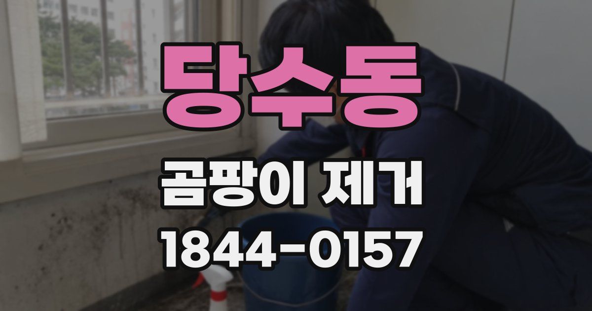 당수동 곰팡이 제거