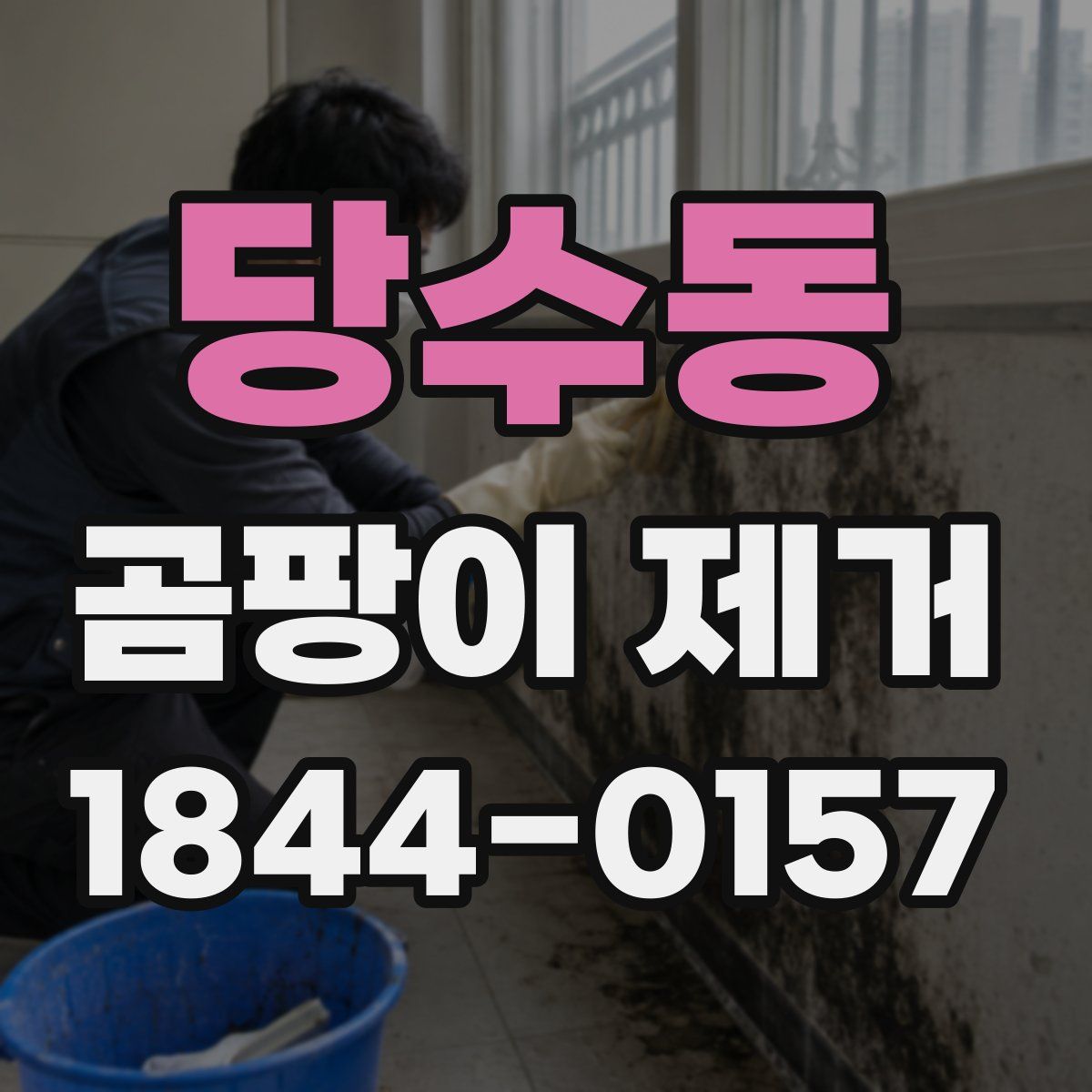 당수동 곰팡이 제거