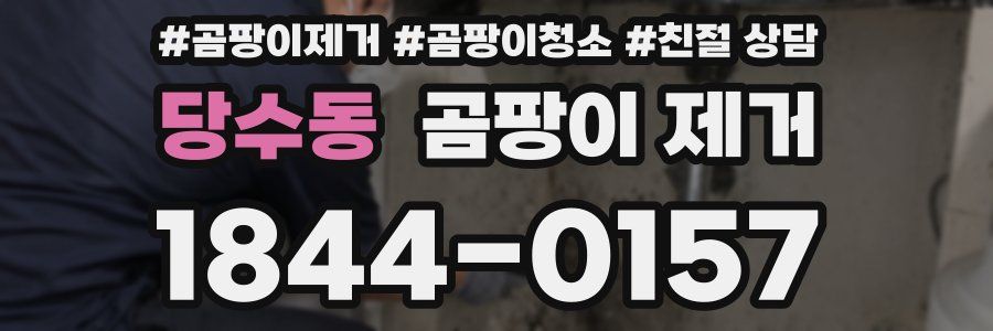 당수동 곰팡이 제거
