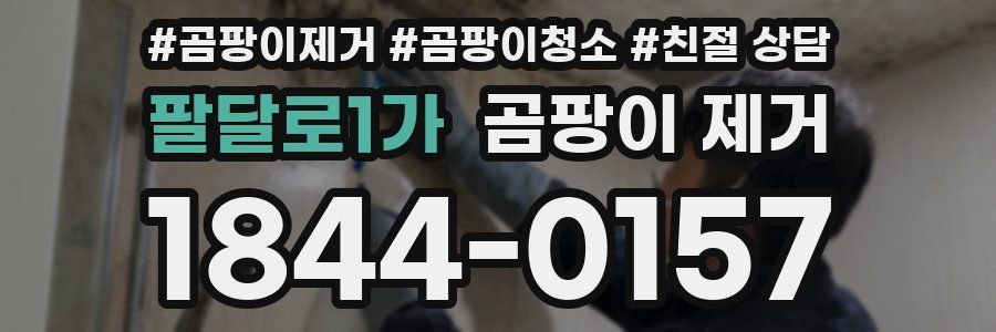 팔달로1가 곰팡이 제거