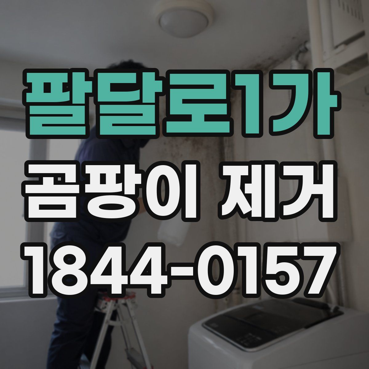 팔달로1가 곰팡이 제거