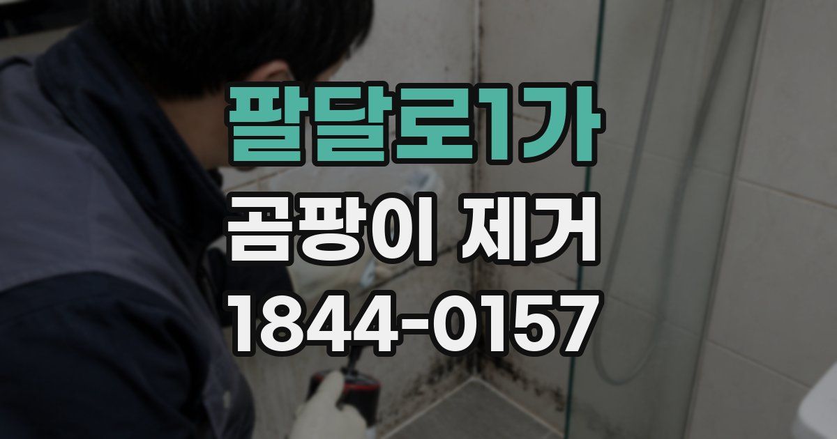 팔달로1가 곰팡이 제거