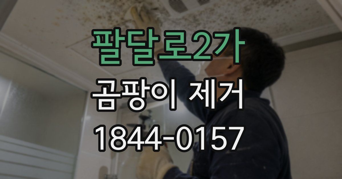 팔달로2가 곰팡이 제거
