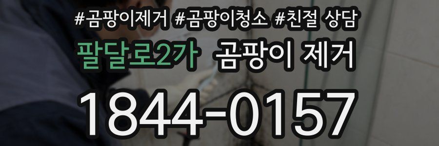 팔달로2가 곰팡이 제거