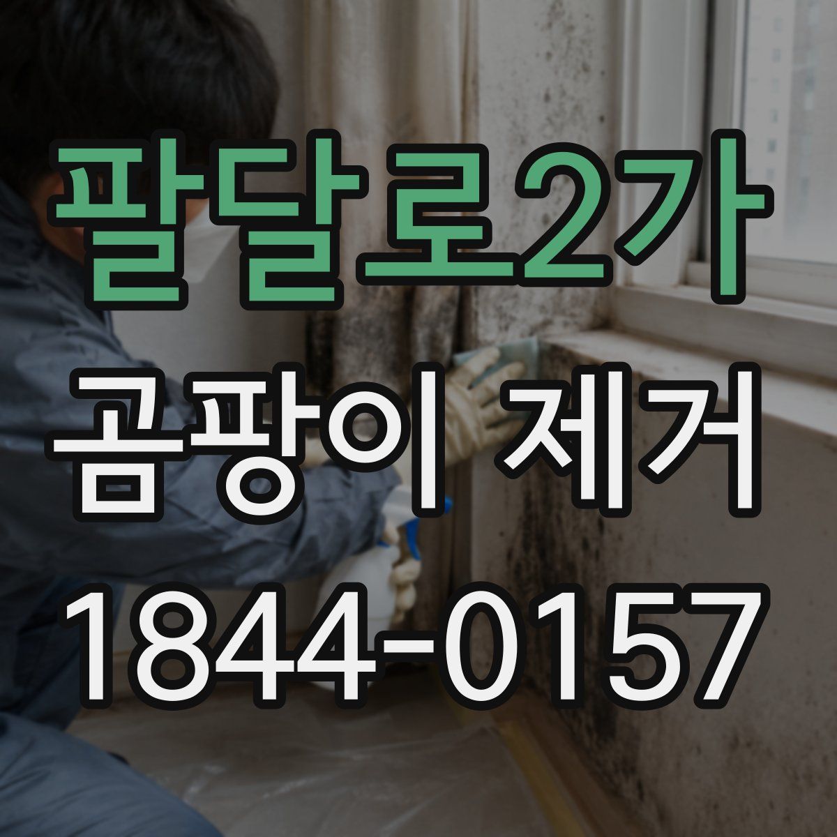 팔달로2가 곰팡이 제거