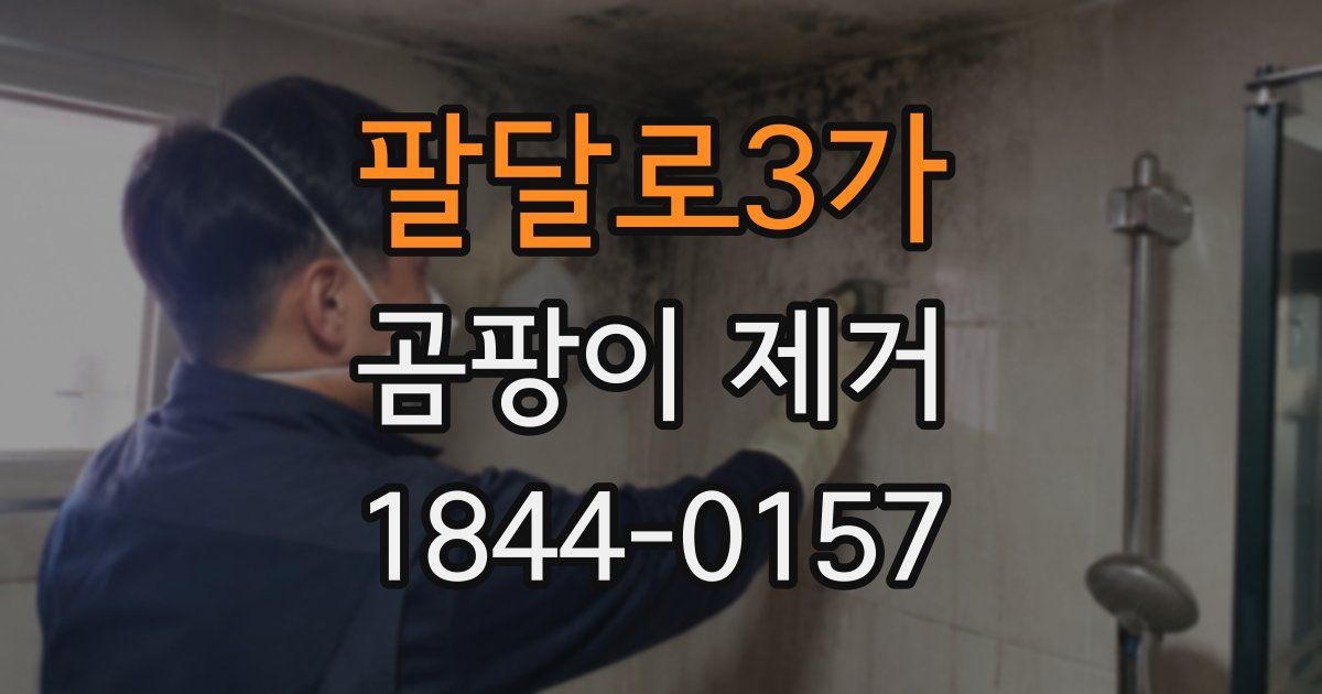 팔달로3가 곰팡이 제거