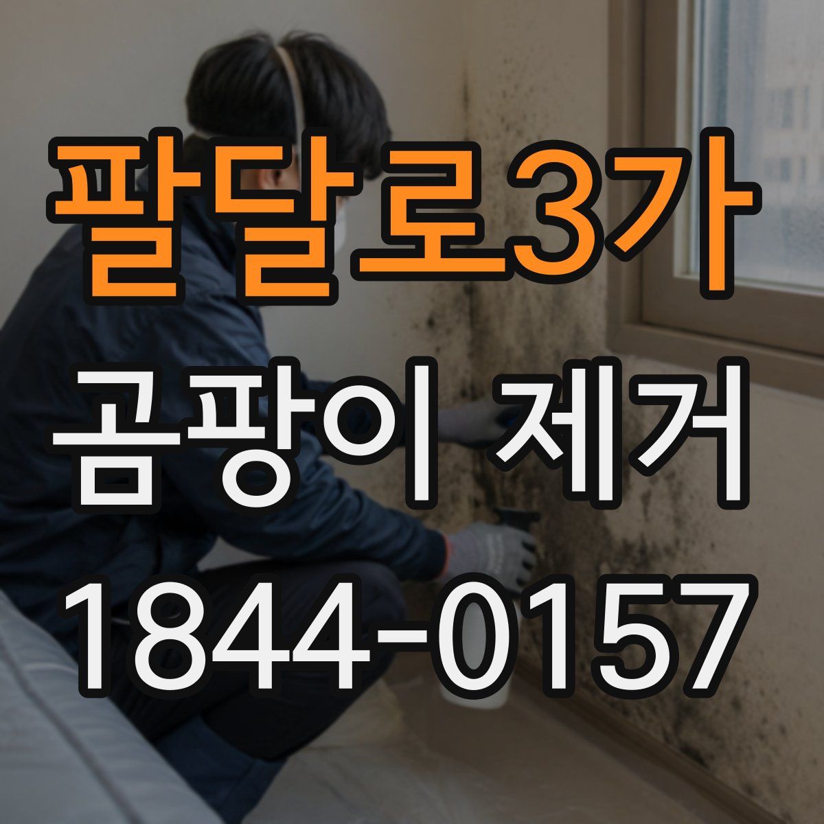 팔달로3가 곰팡이 제거