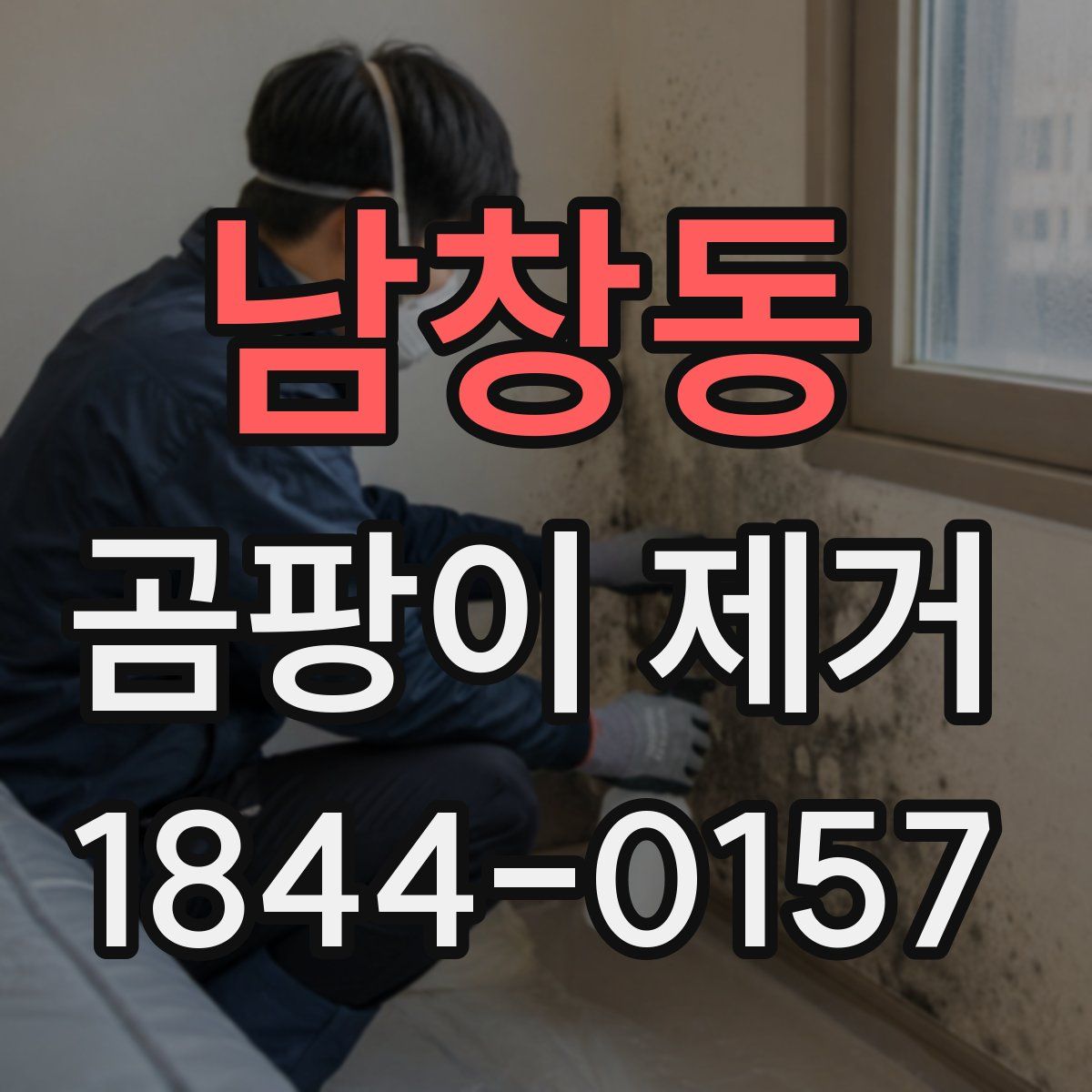 남창동 곰팡이 제거