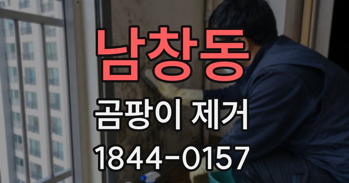 남창동 곰팡이 제거