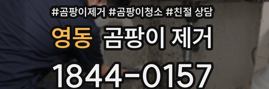 영동 곰팡이 제거